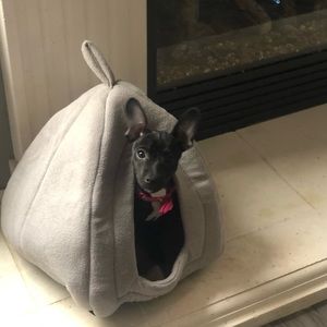 Meet your Posher, Lori